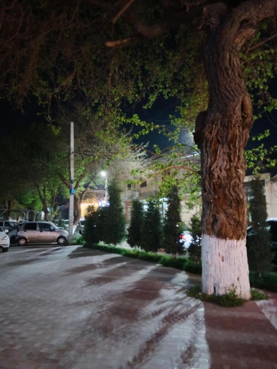 Gulsara Hostel Самарканд Екстер'єр фото