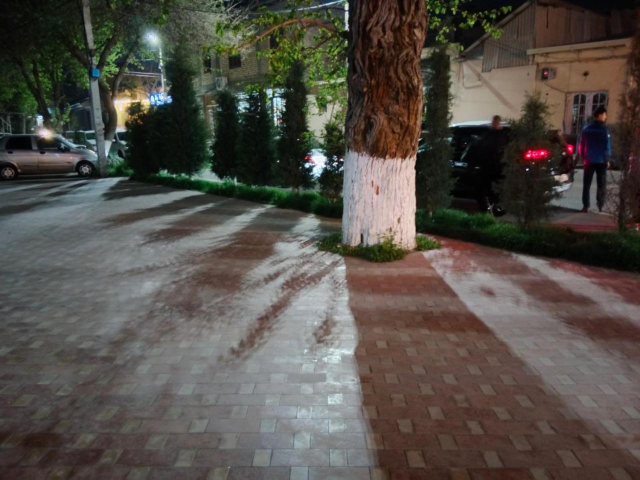Gulsara Hostel Самарканд Екстер'єр фото